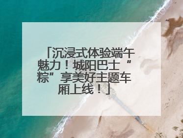 沉浸式体验端午魅力！城阳巴士“粽”享美好主题车厢上线！