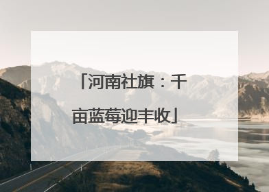河南社旗：千亩蓝莓迎丰收