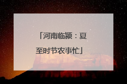 河南临颍：夏至时节农事忙