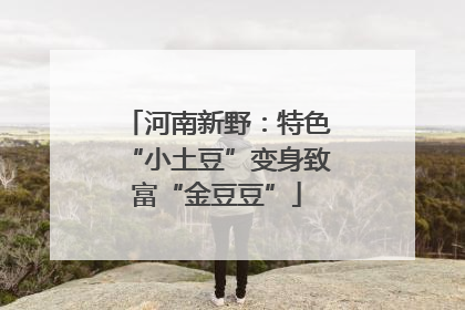 河南新野：特色“小土豆”变身致富“金豆豆”