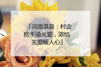 河南淇县：村企携手递关爱，浓情关爱暖人心