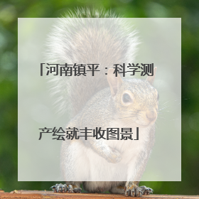 河南镇平：科学测产绘就丰收图景