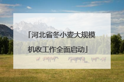 河北省冬小麦大规模机收工作全面启动