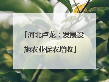 河北卢龙：发展设施农业促农增收