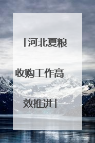 河北夏粮收购工作高效推进
