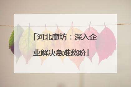 河北廊坊：深入企业解决急难愁盼