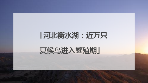 河北衡水湖：近万只夏候鸟进入繁殖期