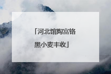 河北馆陶富铬黑小麦丰收
