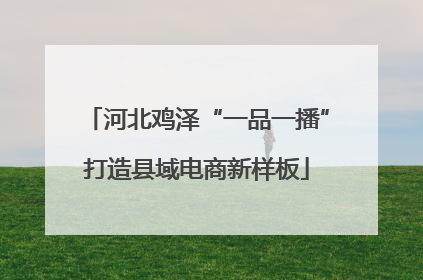 河北鸡泽“一品一播”打造县域电商新样板