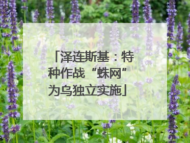 泽连斯基：特种作战“蛛网”为乌独立实施