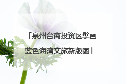 泉州台商投资区擘画蓝色海湾文旅新版图