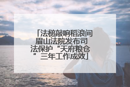 法槌敲响稻浪间 眉山法院发布司法保护“天府粮仓”三年工作成效