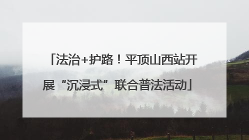 法治+护路！平顶山西站开展“沉浸式”联合普法活动