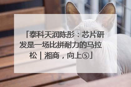 泰科天润陈彤：芯片研发是一场比拼耐力的马拉松｜湘商，向上⑤