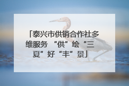 泰兴市供销合作社多维服务 “供”绘“三夏”好“丰”景
