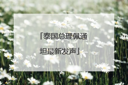 泰国总理佩通坦最新发声