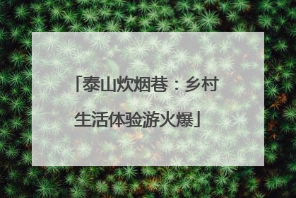 泰山炊烟巷：乡村生活体验游火爆