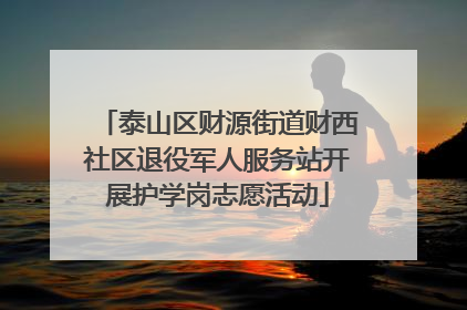 泰山区财源街道财西社区退役军人服务站开展护学岗志愿活动