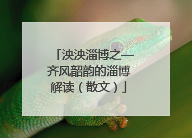 泱泱淄博之—齐风韶韵的淄博解读（散文）
