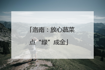 洛南：放心蔬菜点“绿”成金