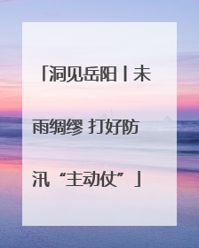 洞见岳阳丨未雨绸缪 打好防汛“主动仗”