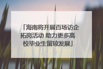 海南将开展百场访企拓岗活动 助力更多高校毕业生留琼发展