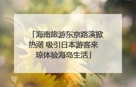 海南旅游东京路演掀热潮 吸引日本游客来琼体验海岛生活