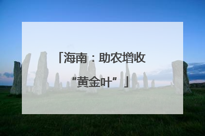 海南：助农增收 “黄金叶”
