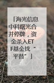 海光信息中科曙光合并停牌，资金杀入ETF基金找“平替”