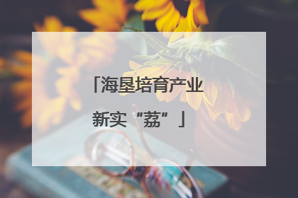 海垦培育产业新实“荔”