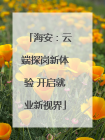 海安：云端探岗新体验 开启就业新视界