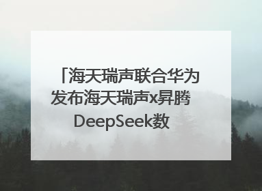 海天瑞声联合华为发布海天瑞声x昇腾DeepSeek数据飞轮智能体