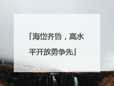 海岱齐鲁，高水平开放勇争先