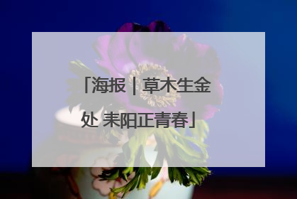 海报｜草木生金处 耒阳正青春