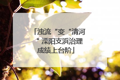 浊流“变“清河“ 溧阳支浜治理成绩上台阶