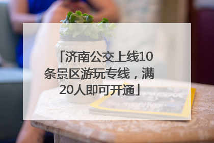 济南公交上线10条景区游玩专线，满20人即可开通