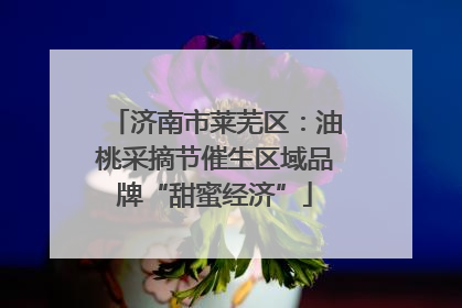 济南市莱芜区：油桃采摘节催生区域品牌“甜蜜经济”