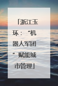 浙江玉环：“机器人军团”赋能城市管理