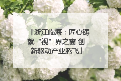 浙江临海：匠心铸就“视”界之窗 创新驱动产业腾飞