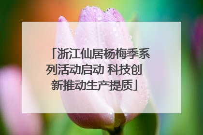 浙江仙居杨梅季系列活动启动 科技创新推动生产提质