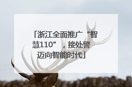 浙江全面推广“智慧110”，接处警迈向智能时代