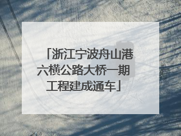 浙江宁波舟山港六横公路大桥一期工程建成通车