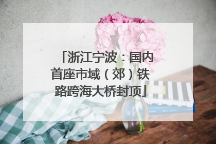 浙江宁波：国内首座市域（郊）铁路跨海大桥封顶