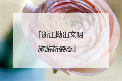 浙江拗出文明旅游新姿态