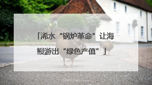 浠水“锅炉革命”让海鳗游出“绿色产值”