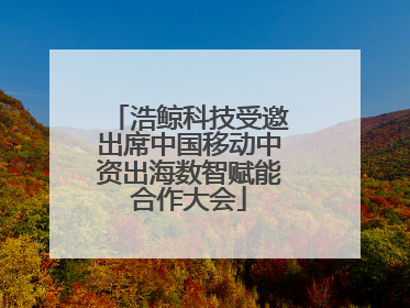 浩鲸科技受邀出席中国移动中资出海数智赋能合作大会