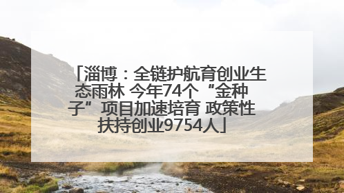 淄博：全链护航育创业生态雨林 今年74个“金种子”项目加速培育 政策性扶持创业9754人