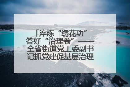 淬炼“绣花功” 答好“治理卷”——全省街道党工委副书记抓党建促基层治理培训示范班侧记