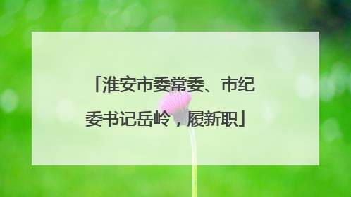 淮安市委常委、市纪委书记岳岭，履新职