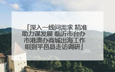 深入一线问需求 精准助力谋发展 临沂市台办 市港澳办商城出海工作组到平邑县走访调研